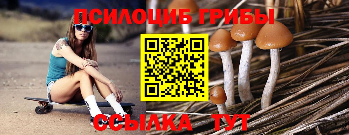 Галлюциногенные грибы ЛСД Нягань