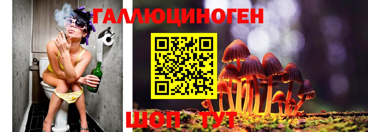 Нягань  Галлюциногенные грибы Psilocybe  Вход с VPN 